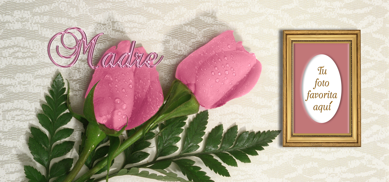 2 Roses Pink Pink Madre (Spanish)